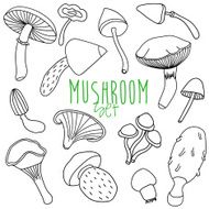 Hand drawn mushroom set