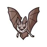 bat doodle N6