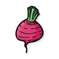 vegetable Sweet Radish color doodle