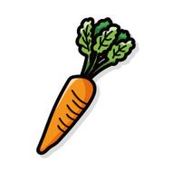 vegetable Carrot color doodle N3