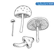 mushrooms set icons vector illustration N5