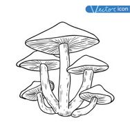 mushrooms set icons vector illustration N10