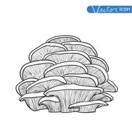 mushrooms set icons vector illustration N13