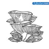 mushrooms set icons vector illustration N15