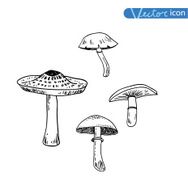 mushrooms set icons vector illustration N19