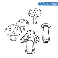 mushrooms set icons vector illustration N20