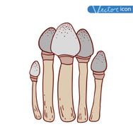 mushrooms set icons vector illustration N23