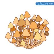 mushrooms set icons vector illustration N25