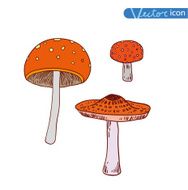 mushrooms set icons vector illustration N28