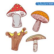 mushrooms set icons vector illustration N29