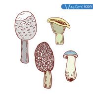 mushrooms set icons vector illustration N30