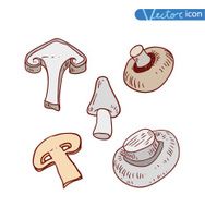 mushrooms set icons vector illustration N31