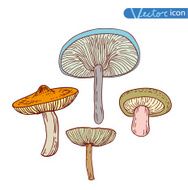 mushrooms set icons vector illustration N32