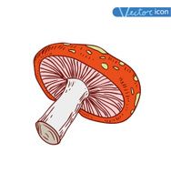 mushrooms set icons vector illustration N35