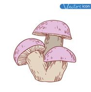 mushrooms set icons vector illustration N42