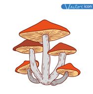 mushrooms set icons vector illustration N43