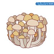 mushrooms set icons vector illustration N44