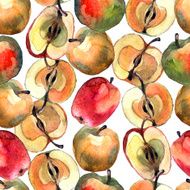 Apple Tree N17