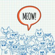 doodle cat background N2