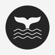 Whale icon N10