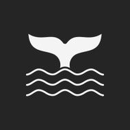 Whale icon N11