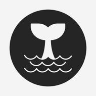 Whale icon N14