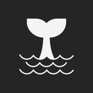 Whale icon N15