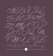Calligraphic alphabet Design elements N4