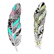 Stylized vector feathers
