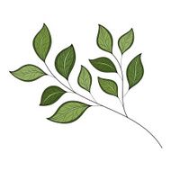 Vector Beautiful Colored Contour Leaf
