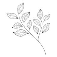 Vector Beautiful Monochrome Contour Leaf