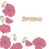 Hand drawn flowers background Poppies frame N2