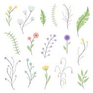 Vector Floral Elements