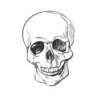 Doodle Skull N3