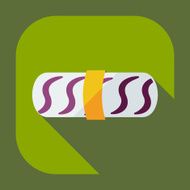 Flat modern design with shadow icons Japanese sushi N32