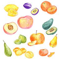 food vector elements