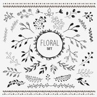 Hand Drawn Vector Floral elements N3