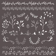 Hand Drawn Floral Design Elements N4