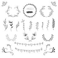 Hand Drawn Vector Floral elements N4