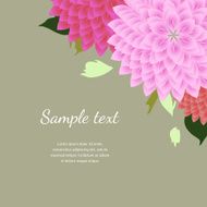 abstract floral background N3