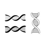 Hand-drawn DNA spiral icon