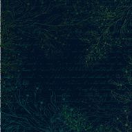 Dark grunge background with forget-me-not flowers