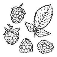 cute Raspberry
