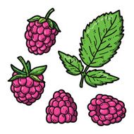 cute raspberries N3