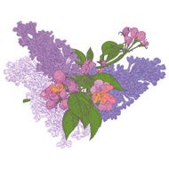 Blooming Twigs of Lilac and Apple Tree on White Background