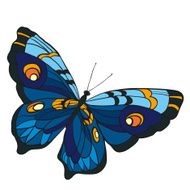 Blue butterfly with open wings in a top view