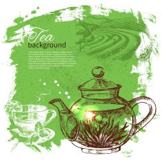Tea vintage background Hand drawn sketch illustration Menu des N15