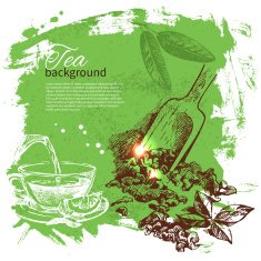 Tea vintage background Hand drawn sketch illustration Menu des N17