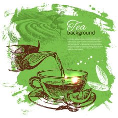 Tea vintage background Hand drawn sketch illustration Menu des N18