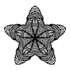 Vector Beautiful Deco Black Star N7